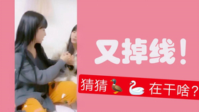 王中王欲錢詩猜一肖，王中王欲錢詩暗示的生肖之謎