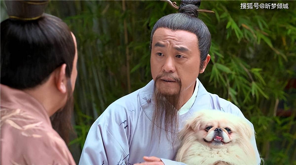 揭秘劉伯溫四不象一肖的神秘面紗——探尋背后的傳奇故事，揭秘劉伯溫四不象一肖背后的傳奇故事，神秘面紗下的神秘傳說