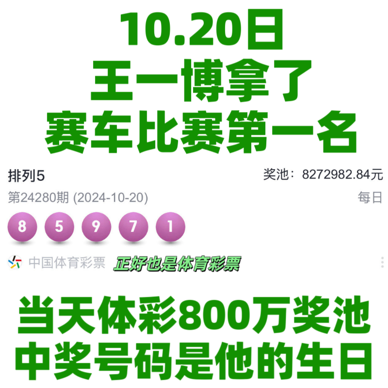 王中王一肖資料中特馬——深度解析與SEO洞察，王中王一肖特馬深度解析與SEO洞察揭秘