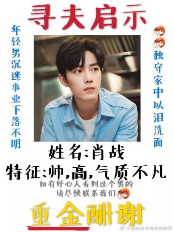 一肖一碼一一肖一子善，探尋命運密碼與智慧之光的完美結(jié)合，命運密碼與智慧之光，一肖一碼一一肖一子善的探尋