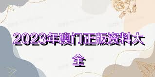 澳門資料大全正版資料查詢，探索澳門的文化與歷史深度之旅，澳門文化與歷史深度探索，正版資料大全及查詢指南