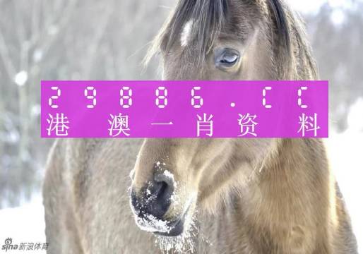 澳門一肖一碼背后的故事，精準背后的秘密與傳奇，澳門一肖一碼背后的秘密與傳奇故事揭秘