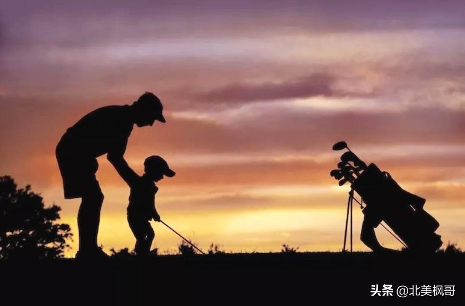 森林高手王中王與神秘生肖——深度解讀背后的故事與秘密，森林高手王中王與神秘生肖，故事背后的深度解讀與秘密探尋