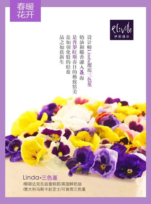 王中王339期指一生肖——探尋背后的秘密與玄機，探尋王中王339期生肖背后的秘密與玄機