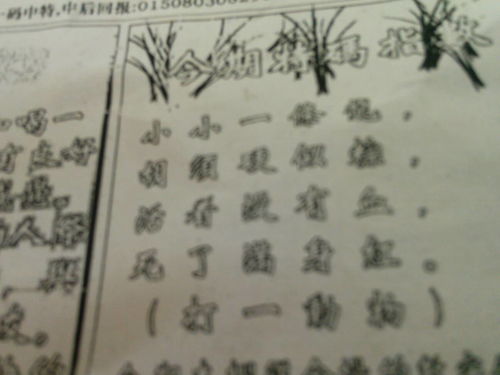 揭秘劉伯溫的一肖一特，探尋神秘傳奇背后的真相，劉伯溫傳奇揭秘，揭秘生肖之謎與獨(dú)特特質(zhì)背后的真相