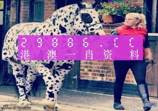 澳門王中王，揭秘一肖中特資料背后的秘密，澳門王中王揭秘，一肖中特資料背后的秘密傳奇