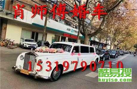 王中王車奪平特一肖免費(fèi)——深度解析與探索，王中王車奪平特一肖，深度解析與免費(fèi)探索