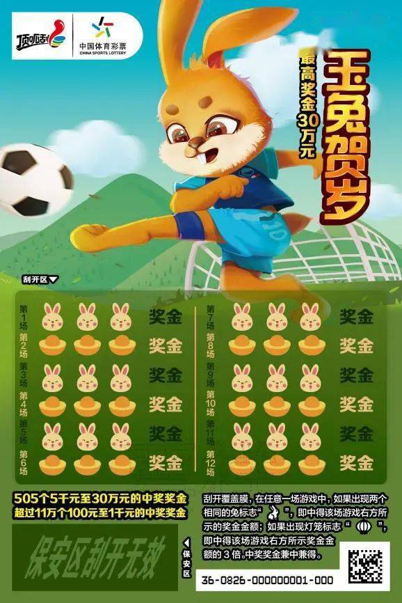 王中王一肖中特兔費(fèi)，探索關(guān)鍵詞背后的奧秘，探索關(guān)鍵詞王中王一肖中特兔費(fèi)背后的奧秘