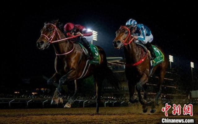 香港王中王一肖中特馬，探索背后的奧秘，香港王中王一肖中特馬背后的奧秘探索