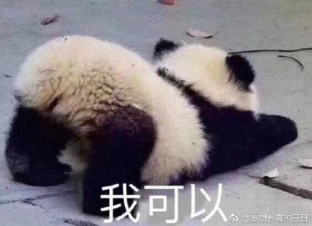 揭秘劉伯溫特一肖與四不像的神秘面紗——探尋背后的故事與真相，劉伯溫特一肖與四不像背后的故事與真相揭秘
