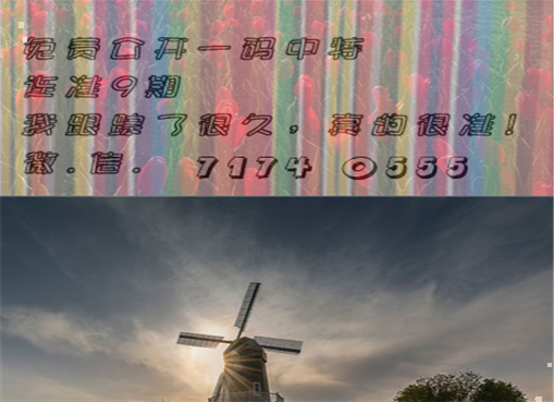 王中王四肖三期必出一期，揭秘彩票背后的秘密策略與技巧，揭秘彩票策略與技巧，王中王四肖三期必出一期之道