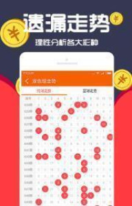 王中王一肖十，深度解析與SEO優(yōu)化策略，王中王一肖十深度解析與SEO優(yōu)化策略探討
