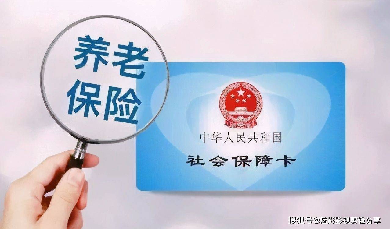揭秘王中王一期一肖特中獎背后的秘密，王中王一期一肖特中獎背后的秘密揭秘