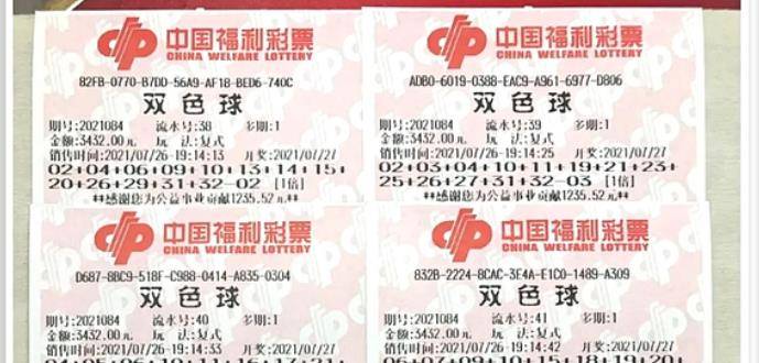 王中王084期指一生肖，解讀背后的秘密與生肖運勢分析，王中王084期生肖揭秘，秘密解讀與運勢展望
