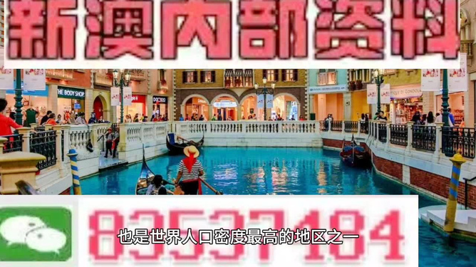 澳門王中王六碼新澳門，探索與解析，澳門王中王六碼新澳門，深度探索與解析