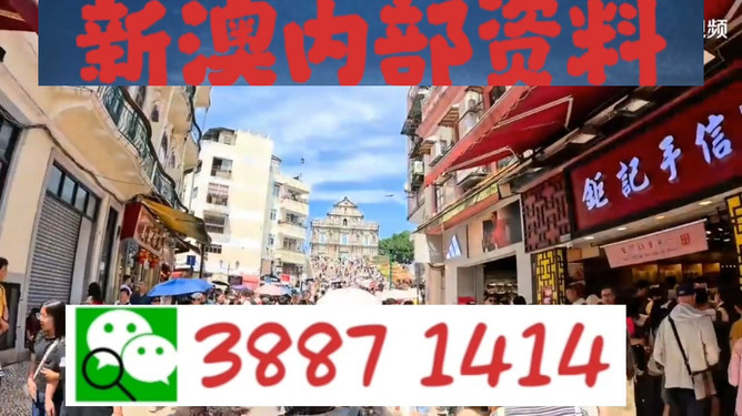 澳門一肖一特免費(fèi)開——揭秘生肖彩票的魅力與策略，澳門生肖彩票揭秘，魅力所在與策略指南