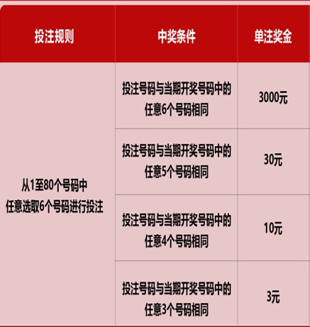 新澳門六開彩天天開獎(jiǎng)結(jié)果，揭秘彩票背后的秘密，揭秘新澳門六開彩天天開獎(jiǎng)背后的秘密
