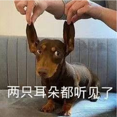 王中王四不象必中一肖，揭秘背后的秘密與策略，揭秘王中王四不象必中一肖背后的秘密與策略之道