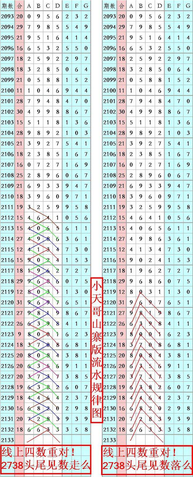 王中王資料一肖正特馬，深度解析與探索，王中王資料一肖正特馬深度解析與探索揭秘