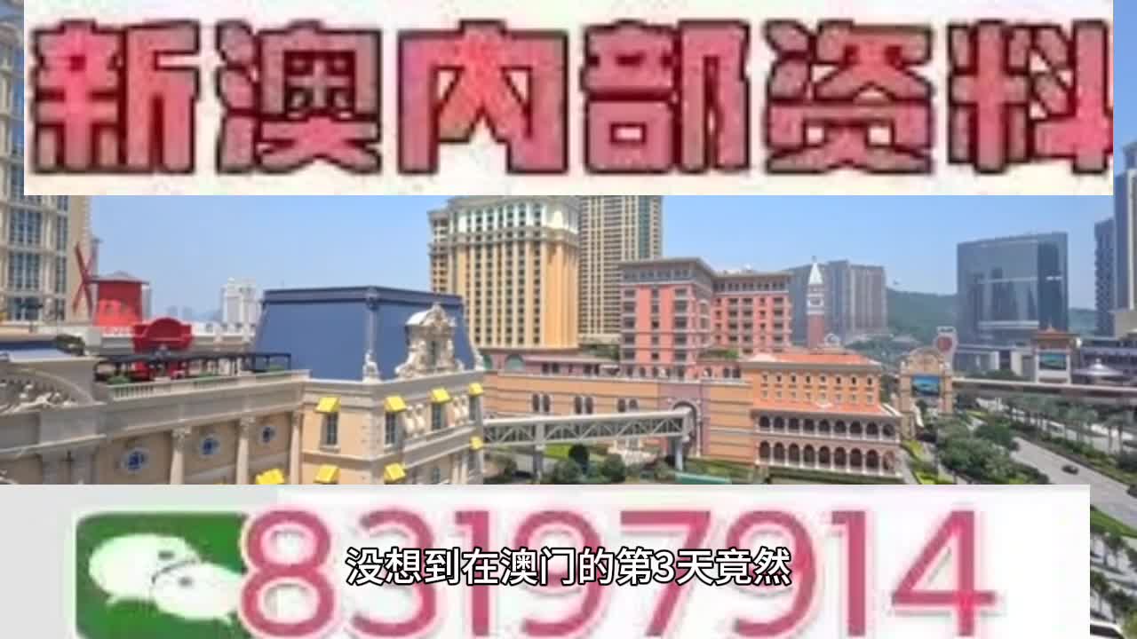 新澳門今晚必開一肖一特，探索生肖與特碼的魅力，澳門生肖特碼探索，今晚必開一肖一特之魅力