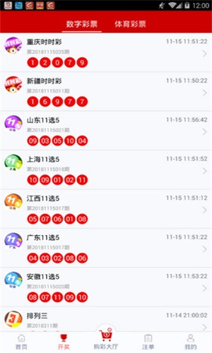 一碼一肖，揭秘背后的秘密與探索其獨(dú)特魅力，揭秘一碼一肖背后的秘密與獨(dú)特魅力探索