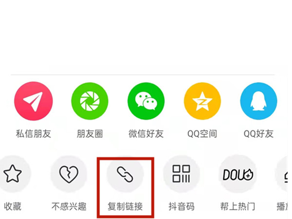白小姐王中王中特一肖，神秘傳奇與SEO探索，神秘傳奇與SEO探索，白小姐王中王中特一肖的奧秘