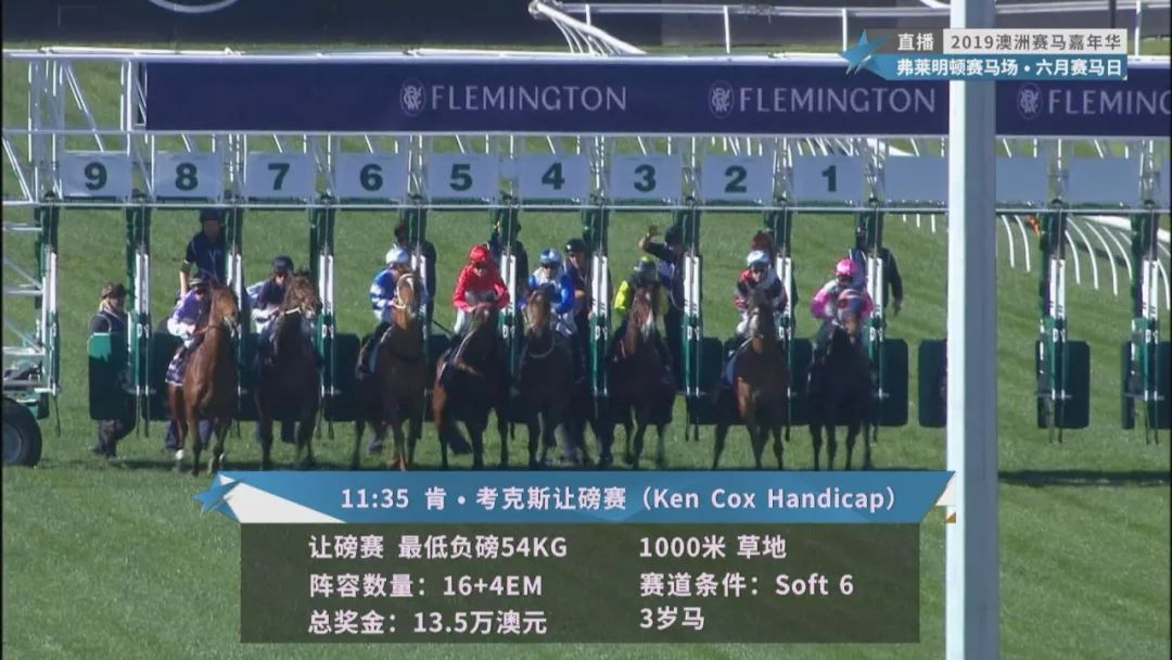 賽馬澳門六月開獎結(jié)果，探索與期待，澳門六月賽馬開獎揭曉，探索結(jié)果引期待