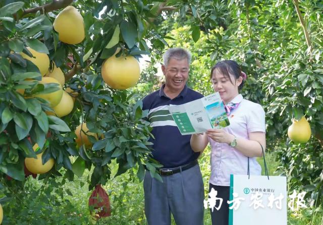 資料大全正版資料2025，一站式獲取所有你需要的信息，資料大全正版資料2025，一站式獲取所有信息總匯