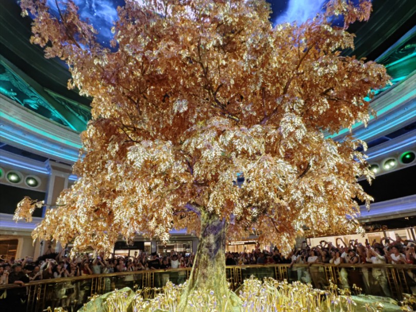 澳門搖錢樹開獎最快——探索彩票世界的神秘魅力，澳門搖錢樹彩票開獎揭秘，探索神秘彩票世界的魅力