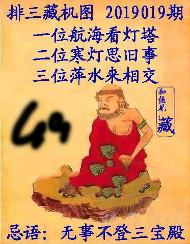 王中王019期指一生肖，深度解讀與SEO優(yōu)化策略，王中王019期生肖深度解讀與SEO策略優(yōu)化指南