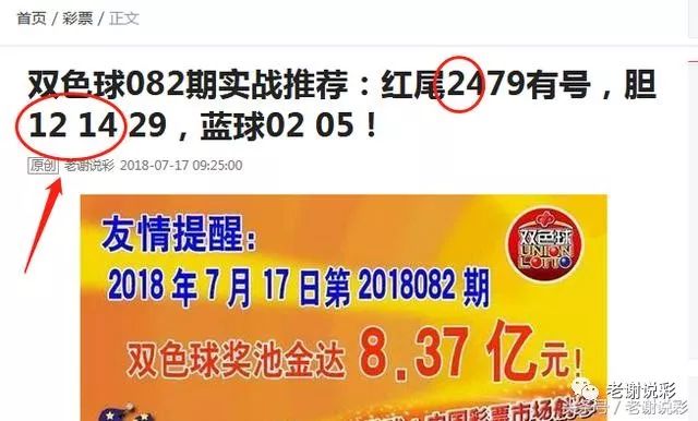 王中王082期指一生肖——探尋生肖魅力，洞悉運勢奧秘，探尋生肖魅力，揭秘運勢奧秘——王中王生肖運勢解析 082期
