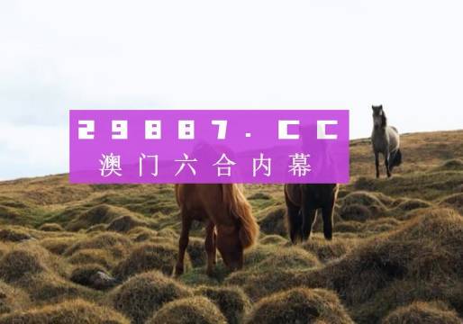 澳門六開獎(jiǎng)結(jié)果2023開獎(jiǎng)記錄查詢網(wǎng)站——全面解析與最新資訊，澳門六開獎(jiǎng)結(jié)果最新解析與資訊，全面查詢2023年開獎(jiǎng)記錄