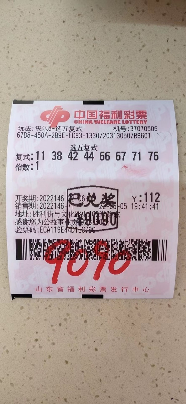 揭秘002期王中王平特一肖，背后的故事與奧秘，揭秘王中王平特一肖背后的故事與奧秘（第002期）