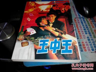 王中王資料一肖中特小說，深度解析與探索，王中王資料一肖中特小說的深度解析與探索之旅