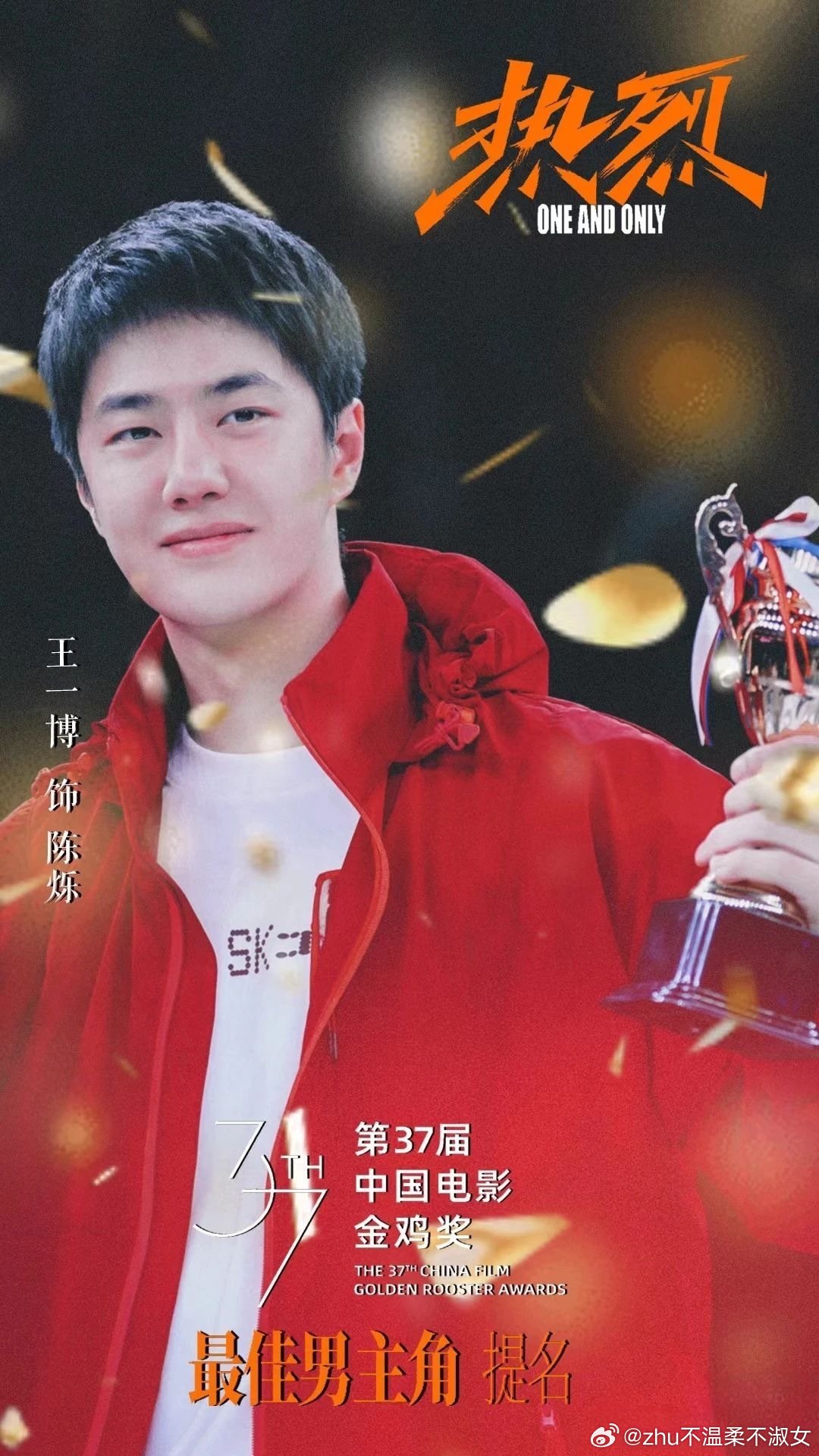王中王一肖一特一中一中，探尋背后的故事與奧秘，探尋王中王一肖背后的故事與奧秘