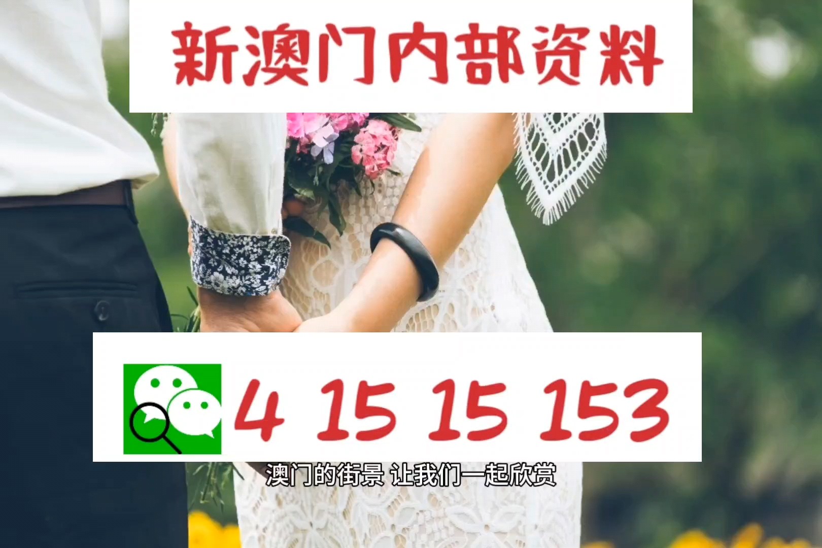 新澳精準(zhǔn)資料，深度解析與探索，新澳精準(zhǔn)資料深度解析與探索之旅