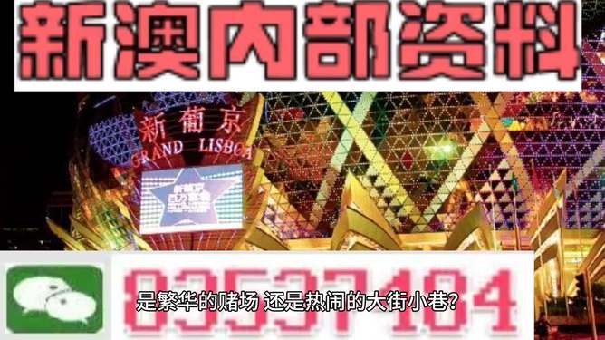 新澳門(mén)精準(zhǔn)資料大全管家婆料，探索與解析，澳門(mén)精準(zhǔn)資料大全解析，探索管家婆料內(nèi)幕