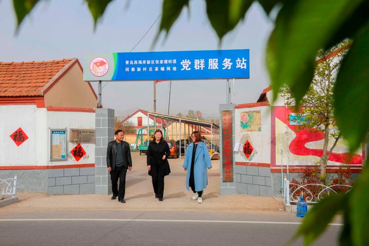 2025新澳天天開彩大全——衣冠群獸探秘，2025新澳天天開彩大全，衣冠群獸探秘之旅