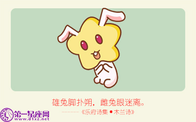 揭秘精準(zhǔn)生肖，探尋神奇的數(shù)字組合777778與888888背后的生肖秘密，揭秘生肖秘密，數(shù)字組合777778與888888背后的生肖傳奇