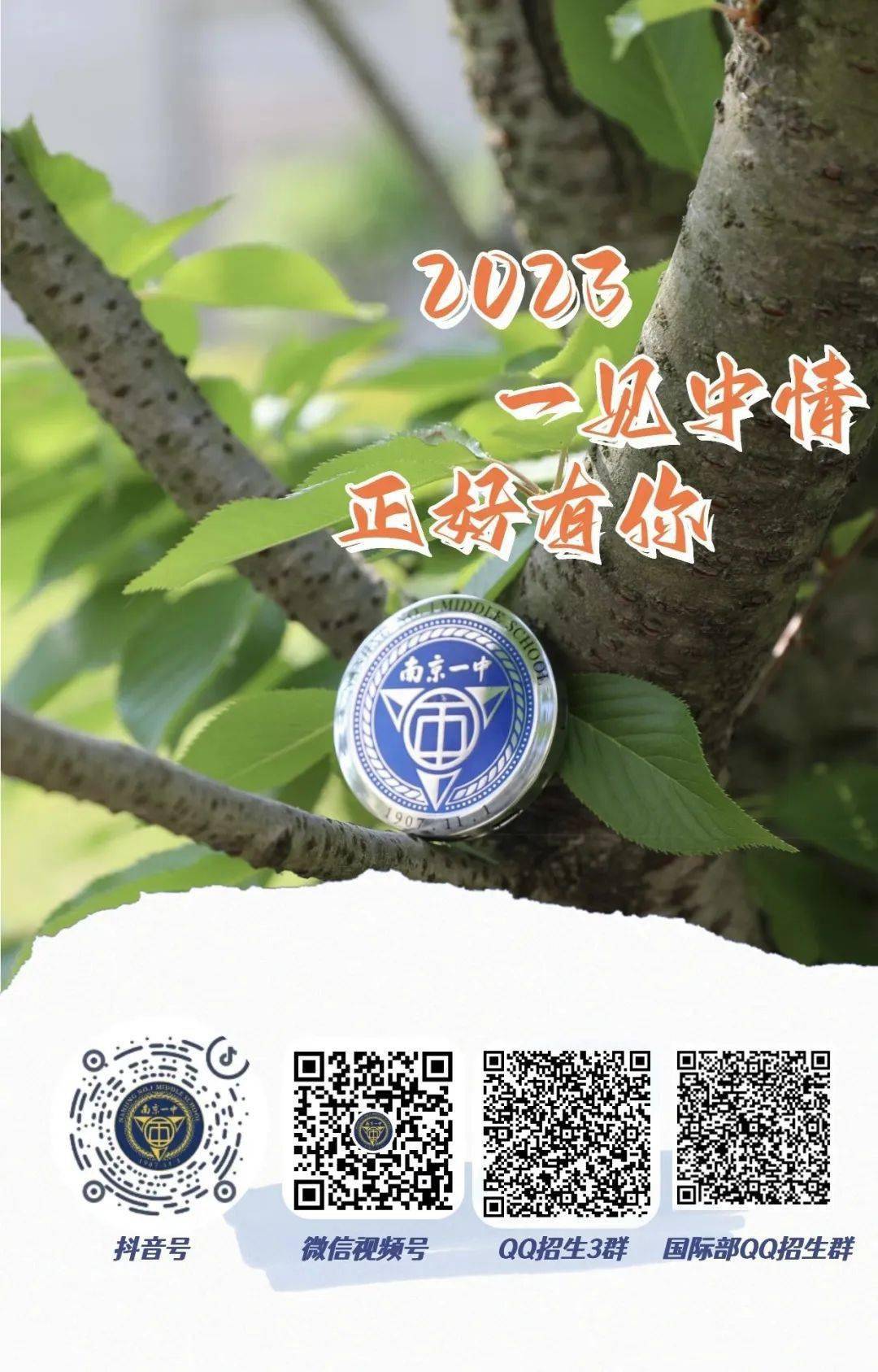 一碼一肖一特一中，揭秘背后的秘密與奧秘，揭秘一碼一肖一特一中背后的秘密奧秘