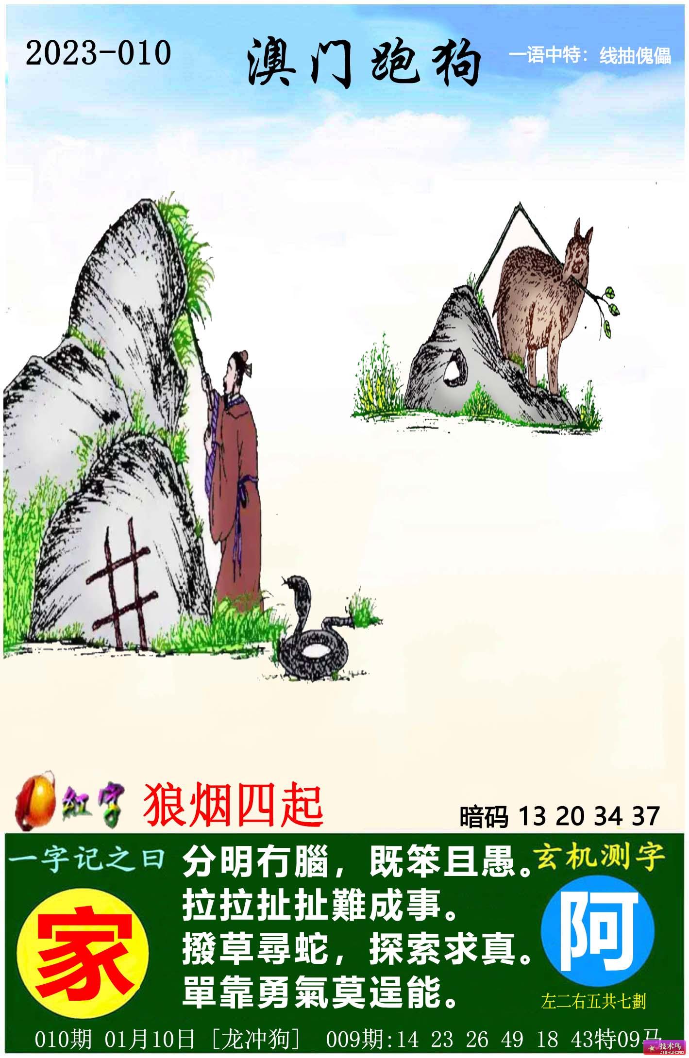 跑狗圖8888精準正版，探索真實與樂趣的交融，跑狗圖8888精準正版，真實與樂趣的交融探索