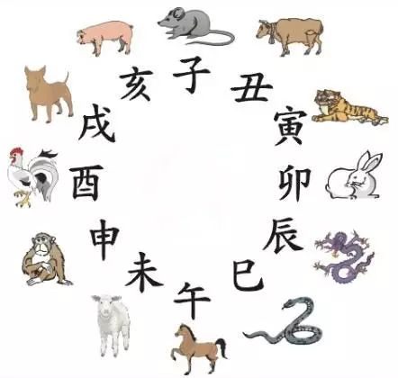 澳門天天彩期期精準(zhǔn)十二生肖預(yù)測(cè)——揭秘彩票秘密，澳門天天彩期期精準(zhǔn)十二生肖預(yù)測(cè)，揭秘彩票秘密之獨(dú)家解析