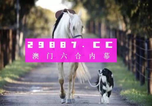 澳門彩的奧秘世界與SEO優(yōu)化策略探討 —— www.04812com的獨(dú)家解析，澳門彩奧秘與SEO優(yōu)化策略獨(dú)家解析，www.04812com深度探討