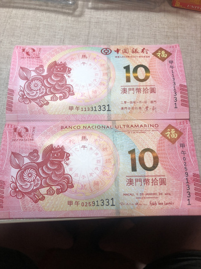 揭秘明天澳門必中生肖的神秘面紗，揭秘明天澳門必中生肖的神秘秘密