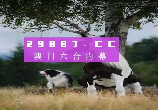 揭秘7777788888精準(zhǔn)新跑狗——全方位解讀與體驗(yàn)，揭秘精準(zhǔn)新跑狗，全方位解讀與體驗(yàn)7777788888跑狗秘籍