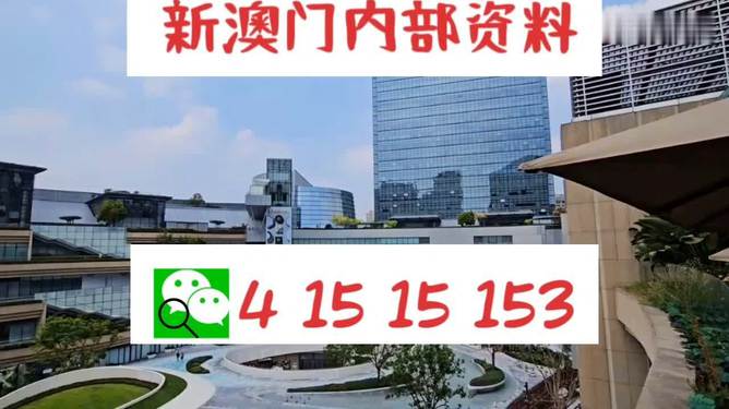 芳草地2025澳門(mén)資料，探索未來(lái)的奧秘，探索澳門(mén)未來(lái)奧秘，芳草地資料揭示的藍(lán)圖 2025年展望