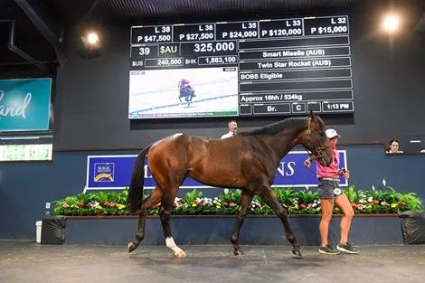 香港最精準的特馬資料，揭秘賽馬世界的秘密，香港精準特馬資料揭秘，賽馬世界的奧秘探秘