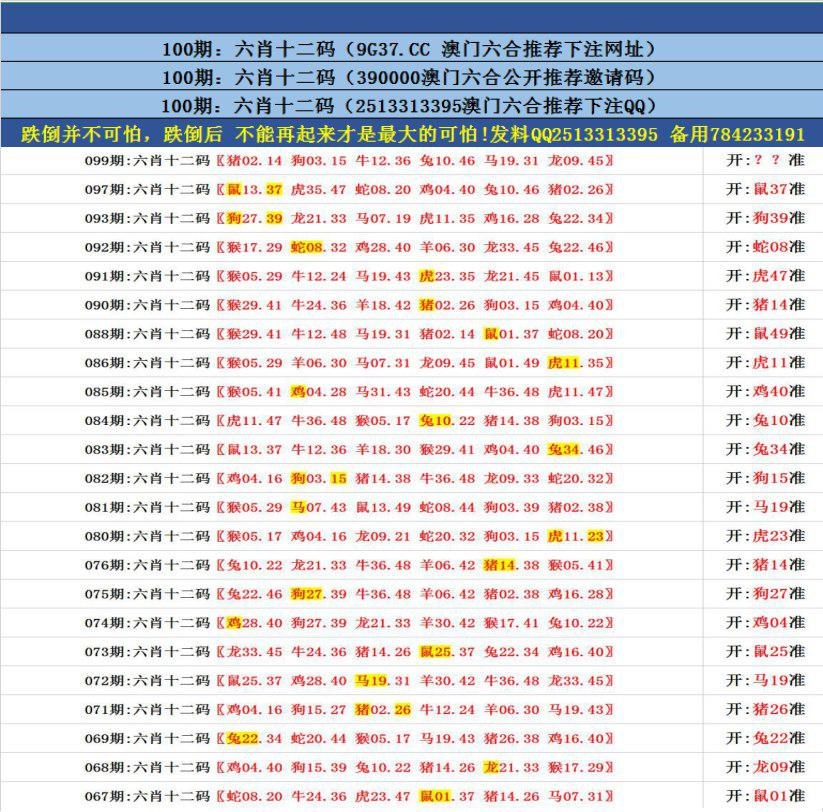 澳門無(wú)錯(cuò)九肖今日搜狗，探索與解析，澳門無(wú)錯(cuò)九肖今日搜狗，深度解析與探索