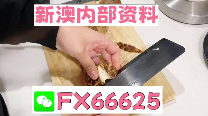 澳門九點半9點半網(wǎng)站——探索其魅力與優(yōu)勢，澳門九點半網(wǎng)站，魅力與優(yōu)勢探索