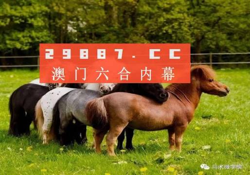 一馬中特內(nèi)部精準(zhǔn)資料免費大公開，揭秘行業(yè)秘密，助力個人成長，揭秘行業(yè)秘密，一馬中特內(nèi)部精準(zhǔn)資料大公開，助力個人成長免費獲取